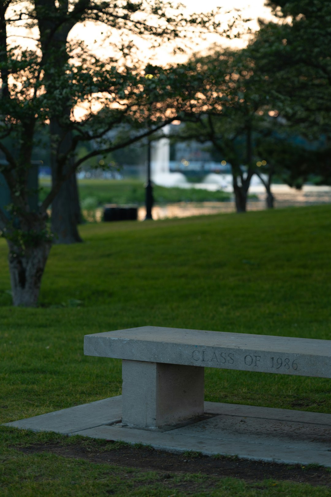 Stone memorial bench in a park setting